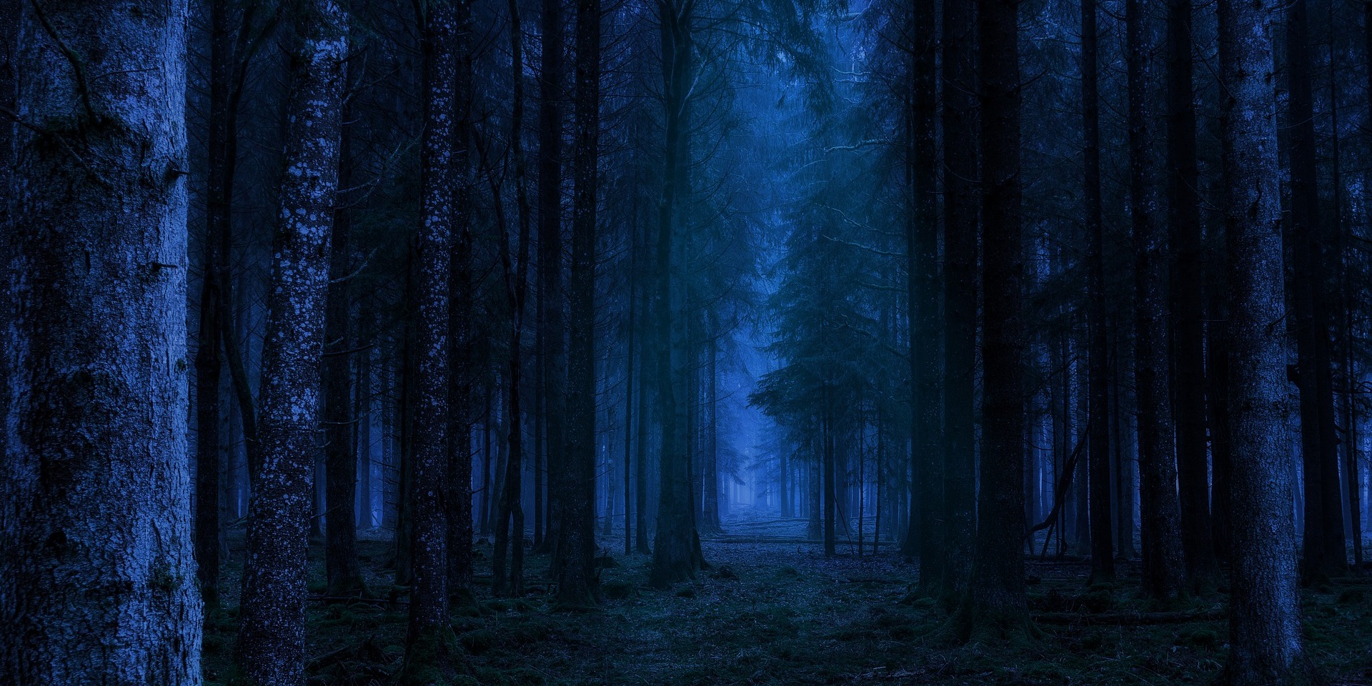 nuit bouton